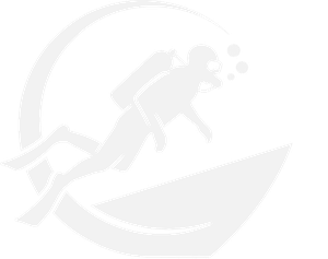 Misting Monsoon Diving logo